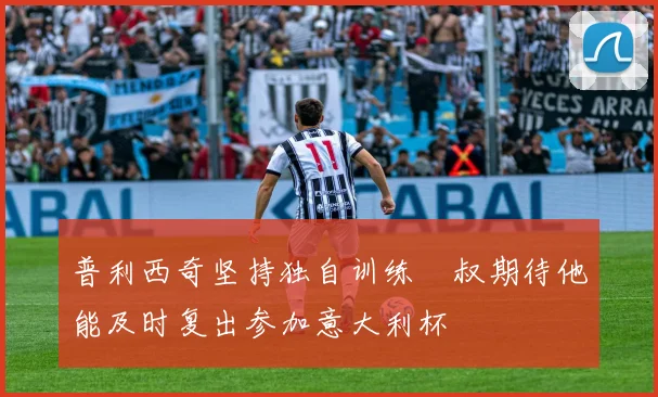 普利西奇坚持独自训练囧叔期待他能及时复出参加意大利杯