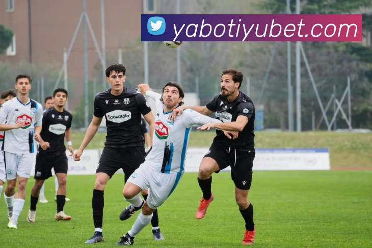 亚博体育平台生态图