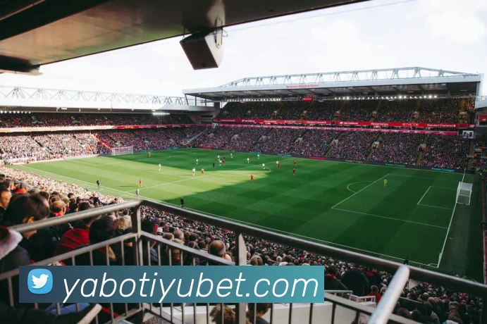 亚博体育APP 封面图